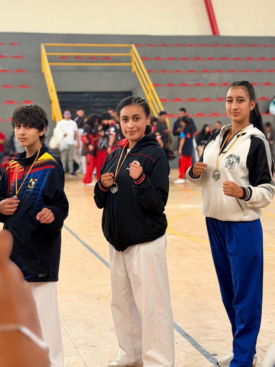 taekwondo